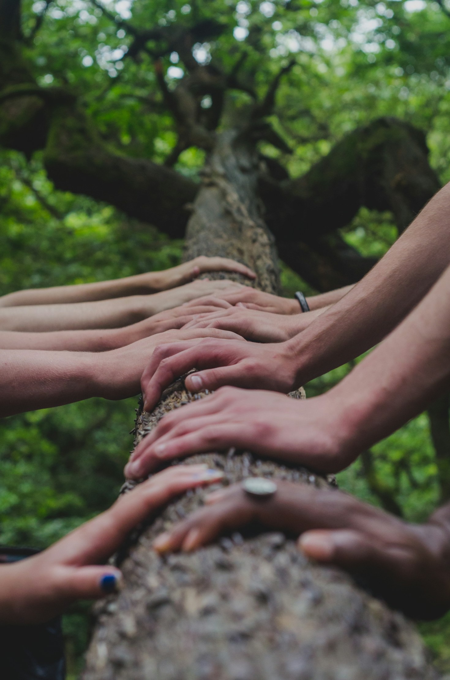 Celebrating Uniqueness Through Cosmic Narratives